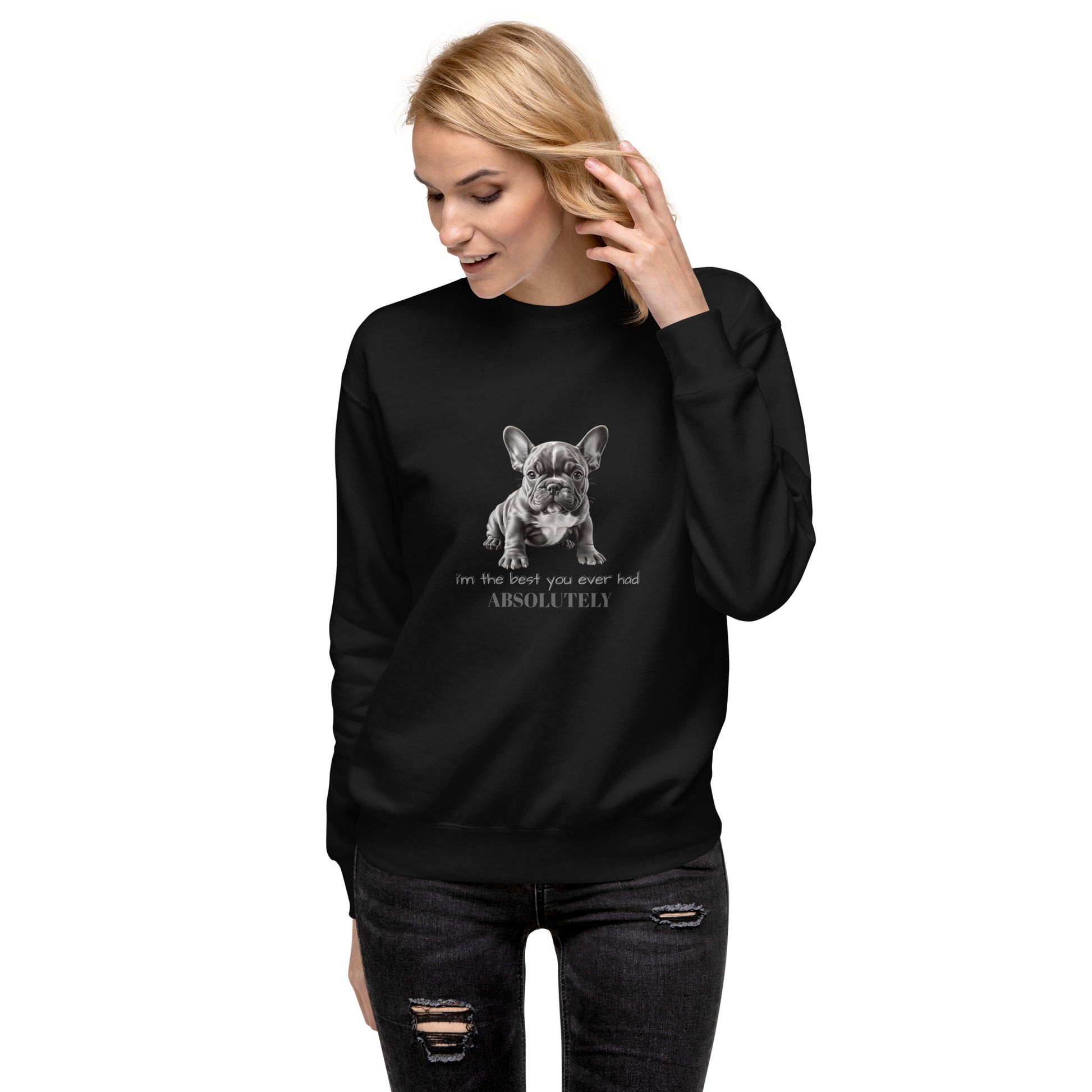 Pug Unisex Premium Sweatshirt - Cute Pug Design Hoodie