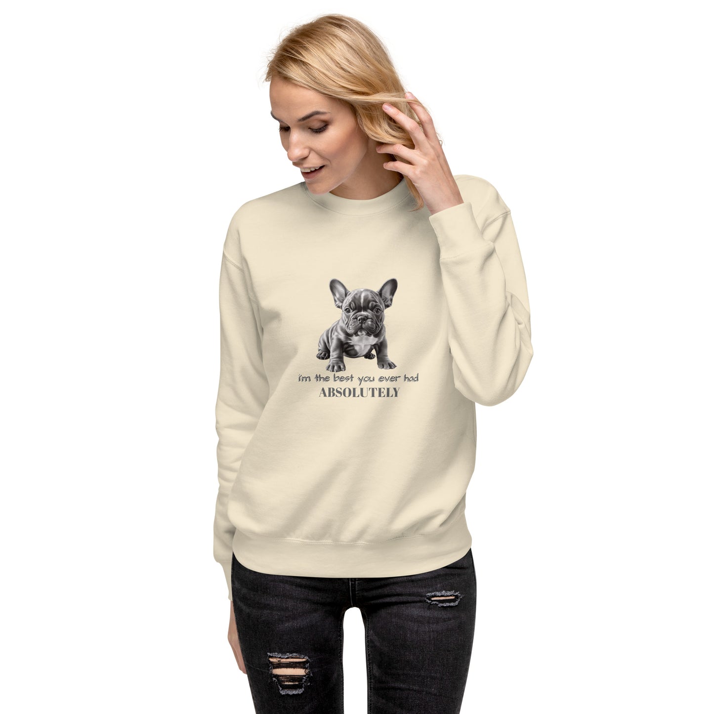 Pug Unisex Premium Sweatshirt - Cute Pug Design Hoodie