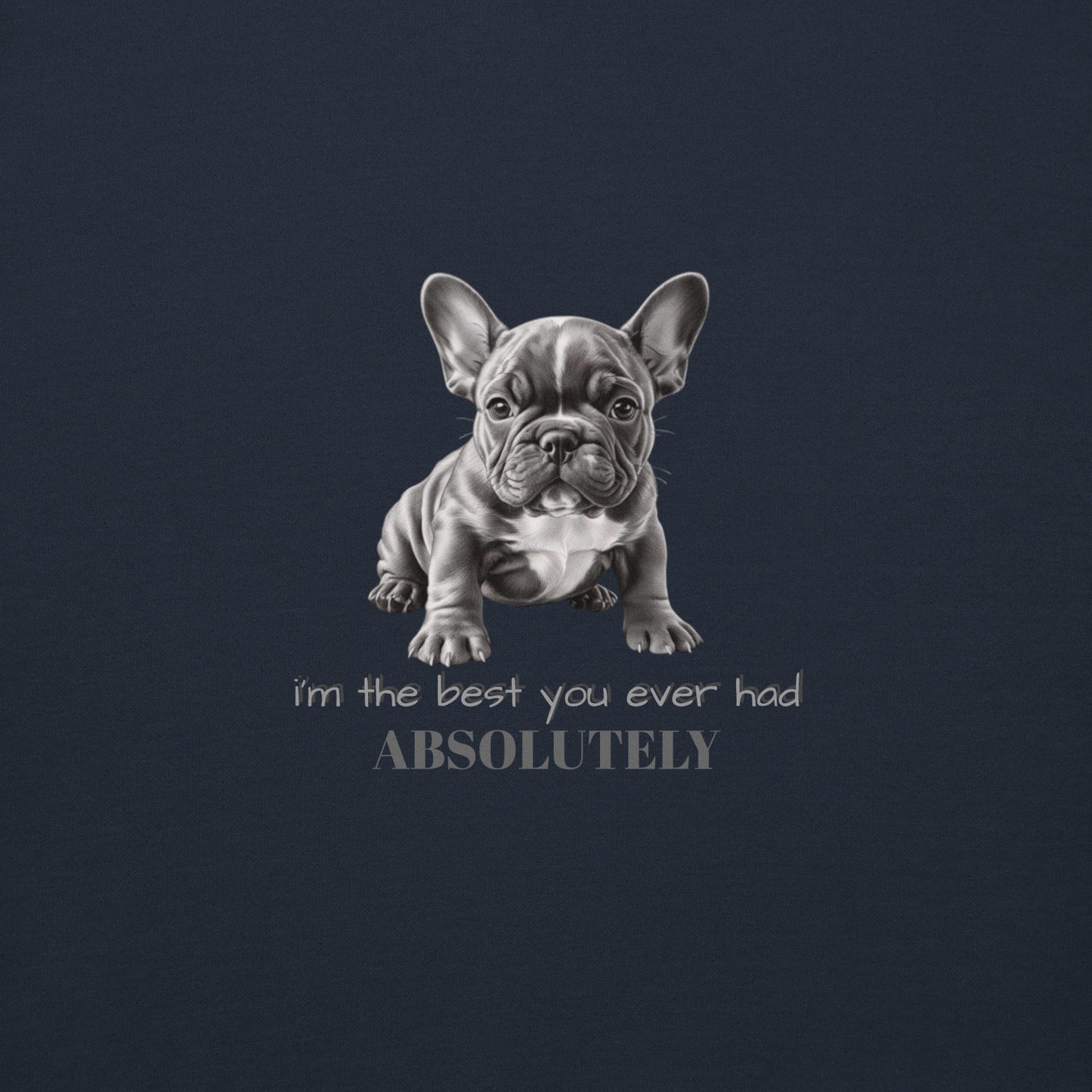 Pug Unisex Premium Sweatshirt - Cute Pug Design Hoodie