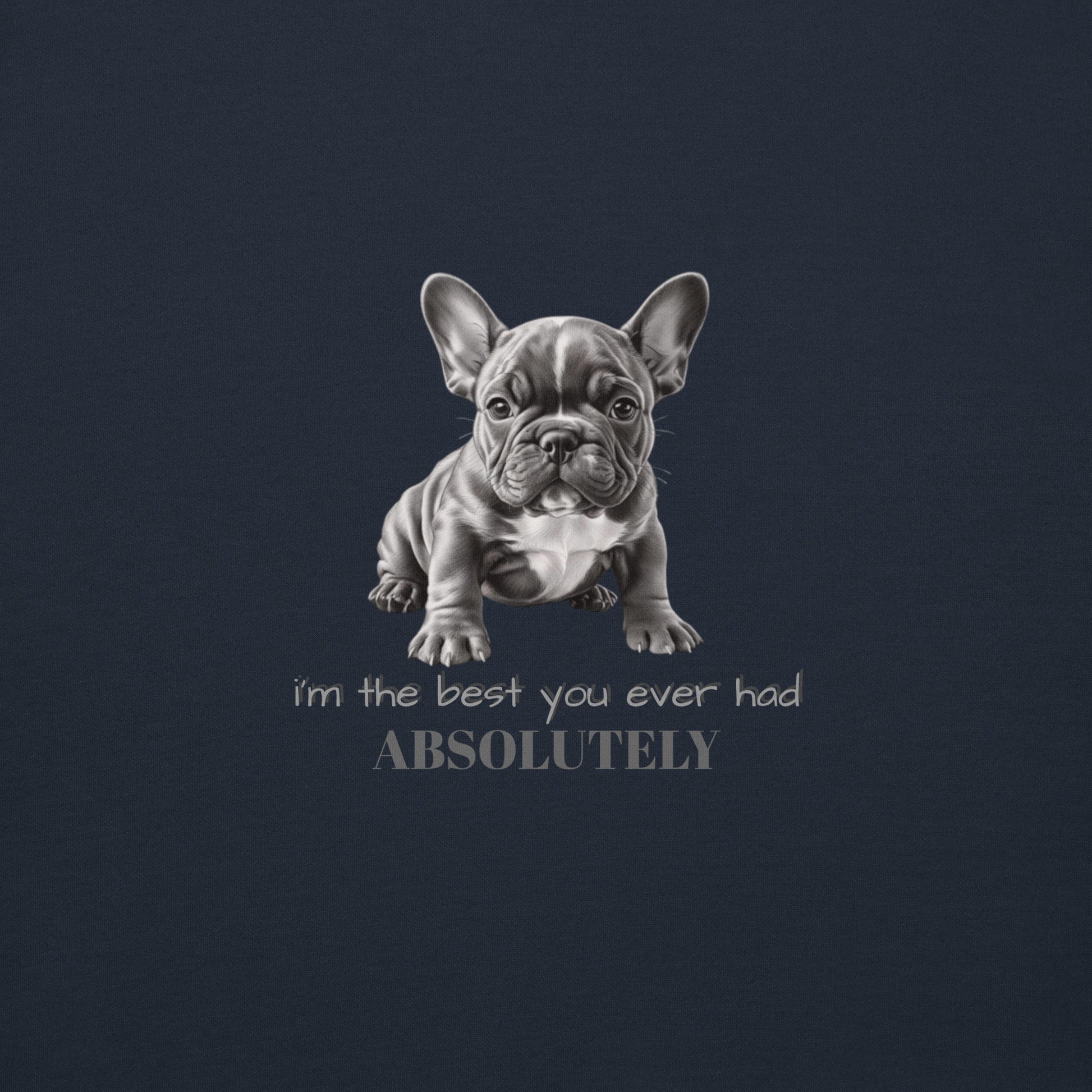 Pug Unisex Premium Sweatshirt - Cute Pug Design Hoodie