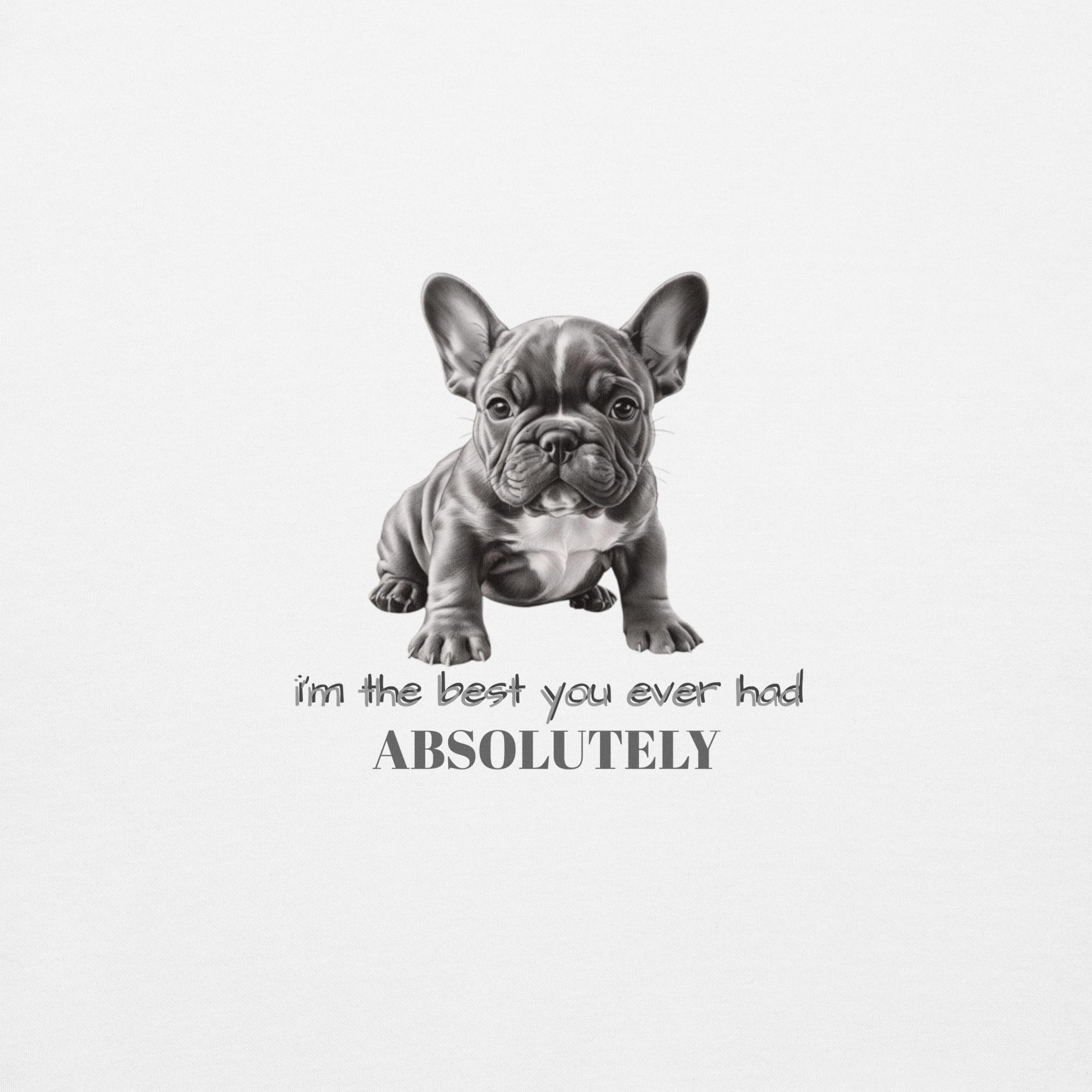 Pug Unisex Premium Sweatshirt - Cute Pug Design Hoodie