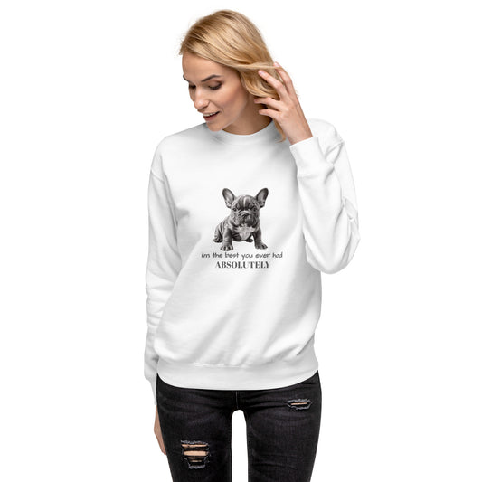 Pug Unisex Premium Sweatshirt - Cute Pug Design Hoodie
